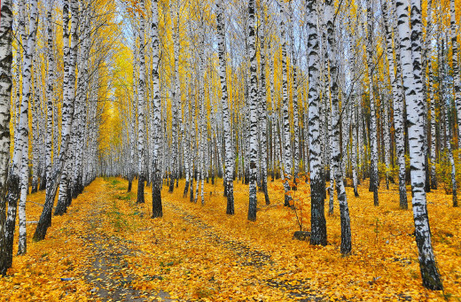 888246 (a): :2600x1702